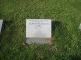 image of grave number 528494